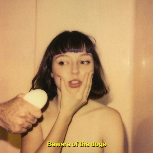 Beware of the Dogs (Stella Donnelly) (Vinyl / 12\