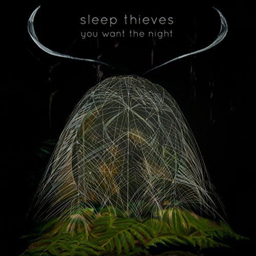 You Want the Night (Sleep Thieves) (Vinyl / 12\
